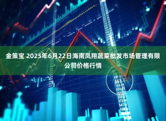 金策宝 2025年6月22日海南凤翔蔬菜批发市场管理有限公司价格行情