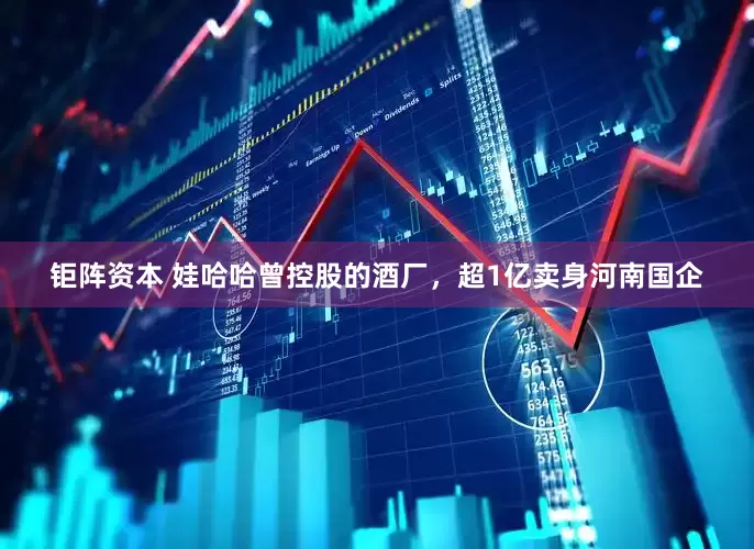钜阵资本 娃哈哈曾控股的酒厂，超1亿卖身河南国企