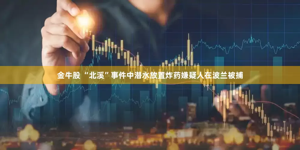 金牛股 “北溪”事件中潜水放置炸药嫌疑人在波兰被捕