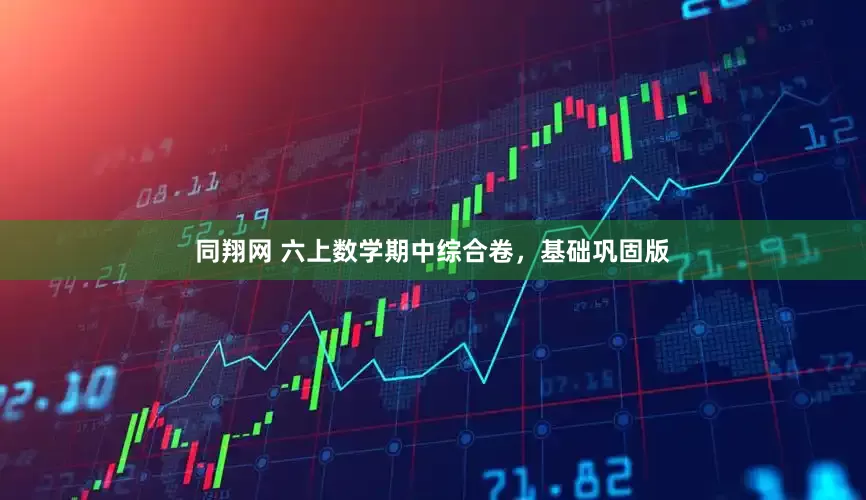 同翔网 六上数学期中综合卷，基础巩固版