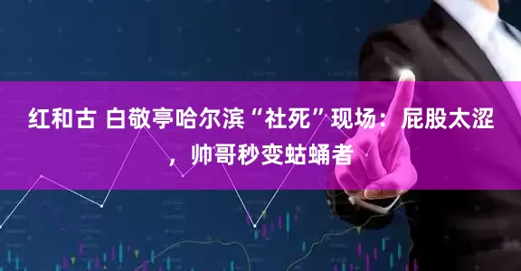 红和古 白敬亭哈尔滨“社死”现场：屁股太涩，帅哥秒变蛄蛹者