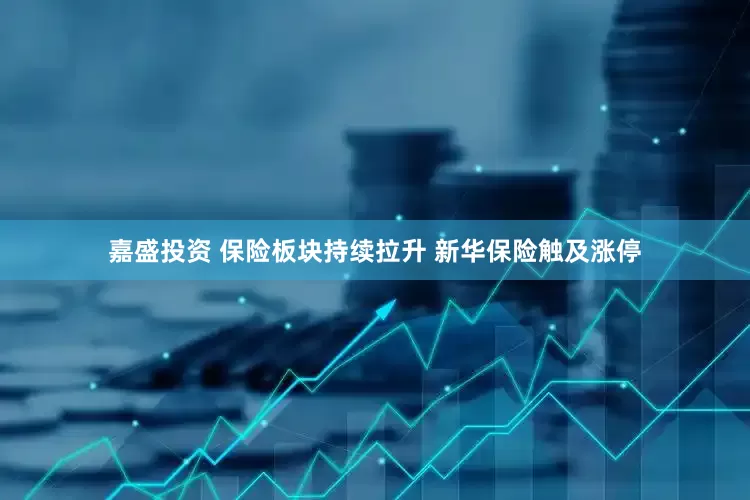 嘉盛投资 保险板块持续拉升 新华保险触及涨停